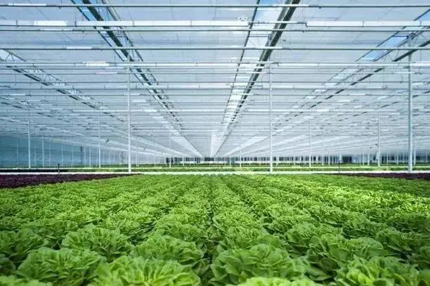 【政策解讀】2022年農業國際貿易高質量發展基地擬認定名單公示