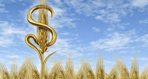 【政策解讀】財政部：今年農業農村有這些支持政策