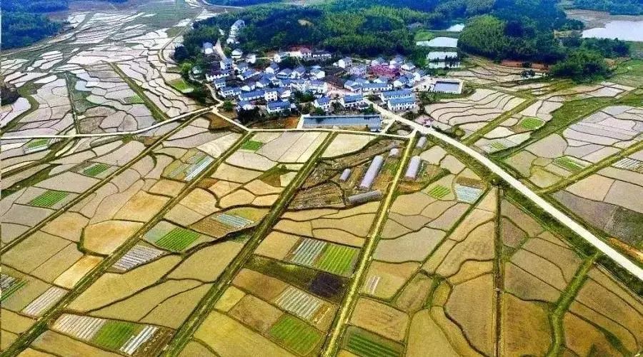 【報告解讀】畢馬威數(shù)智賦能城鄉(xiāng)融合發(fā)展報告