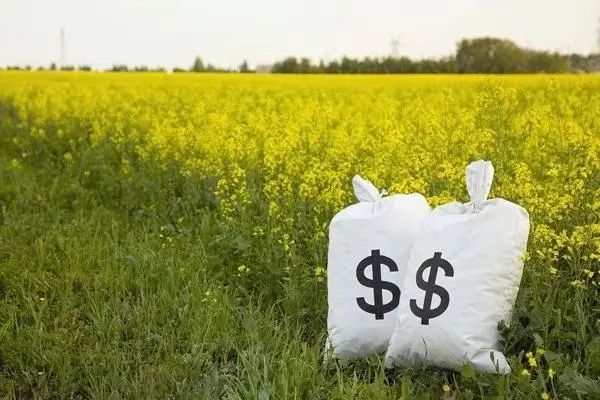 【政策解讀】農(nóng)業(yè)農(nóng)村部 財(cái)政部2022年重點(diǎn)支持以下4個(gè)農(nóng)業(yè)項(xiàng)目生產(chǎn)發(fā)展