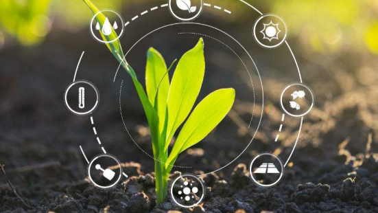 三農(nóng)日?qǐng)?bào)|政策：建立農(nóng)業(yè)服務(wù)“一張網(wǎng)”；業(yè)內(nèi)：產(chǎn)業(yè)振興需要注重?cái)?shù)字化