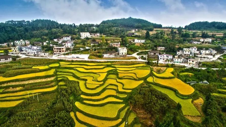 【政策解讀】八部門發(fā)文！擴大當(dāng)前農(nóng)業(yè)農(nóng)村基礎(chǔ)設(shè)施建設(shè)投資