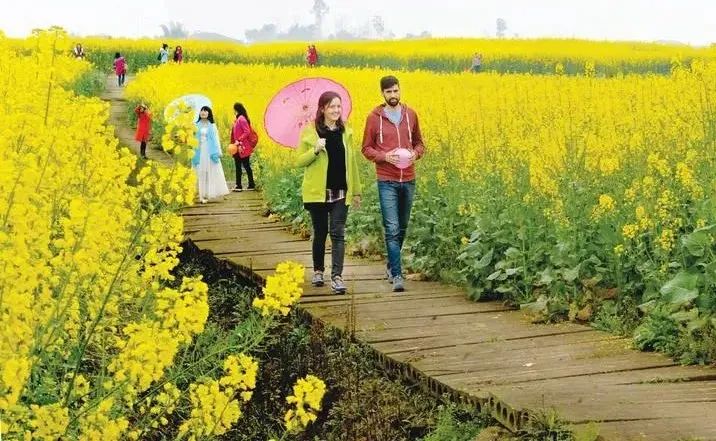 【鄉(xiāng)村振興】鄉(xiāng)村振興的15個切入點