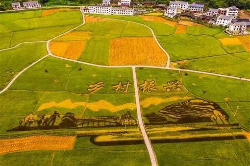 【政策解讀】2022年鄉(xiāng)村振興項目申報匯總（重要收藏）