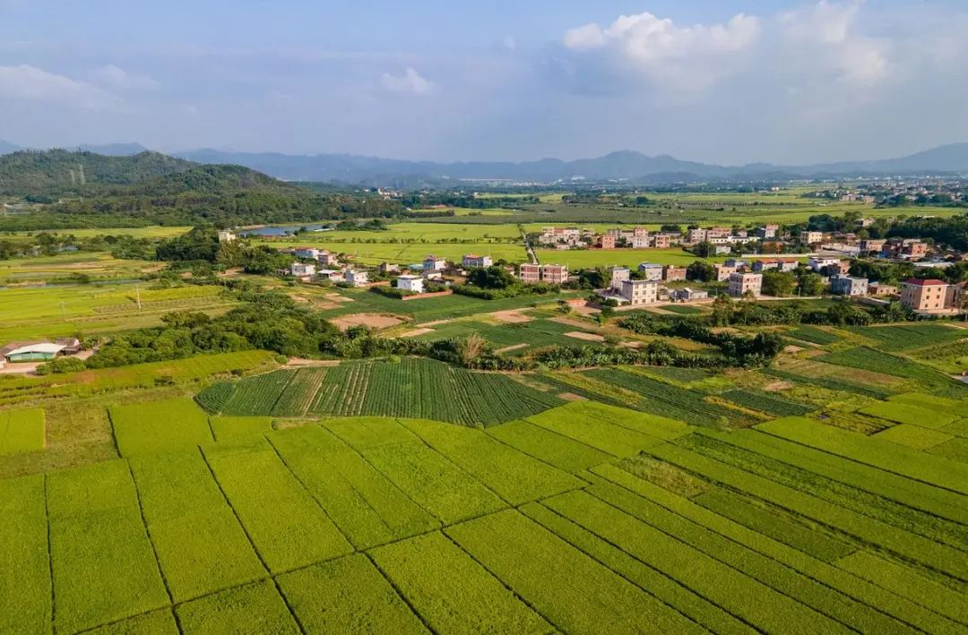 【政策解讀】重大利好！八部門明確：突出抓好這些設(shè)施農(nóng)業(yè)項目建設(shè)！