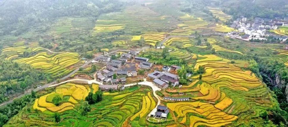 【產(chǎn)業(yè)透視】鄉(xiāng)村振興：鄉(xiāng)村產(chǎn)業(yè)發(fā)展看這里