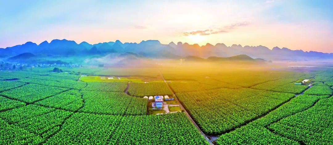 【政策解讀】重磅！投資鄉(xiāng)村振興產(chǎn)業(yè)稅收可減免