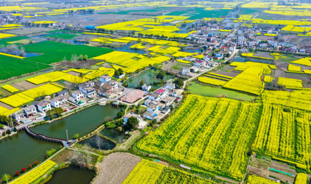 【鄉(xiāng)村振興】2023年如何“玩”“賺”鄉(xiāng)村振興？