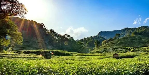 【農(nóng)業(yè)模式】農(nóng)村三產(chǎn)融合發(fā)展的5個優(yōu)秀案例