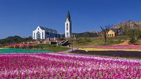 【鄉村振興】農業農村部重點扶持這28個項目！趕緊收藏