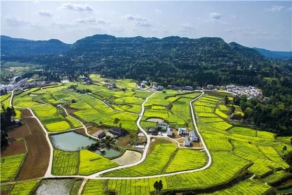 【政策解讀】農業農村部印發《鄉村產業發展規劃(至2025年)》