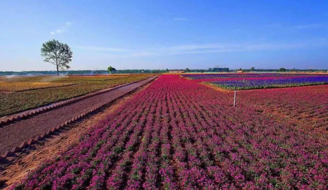 【政策解讀】精讀！從全國農業農村廳局長會議看2023年重點工作