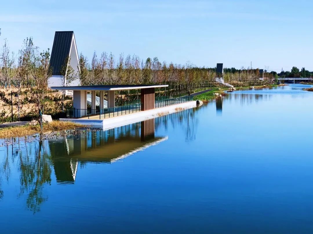 【鄉村振興】2023年鄉村振興重點扶持這28個項目！（趕緊收藏）