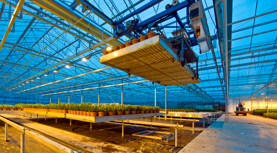 【政策解讀】2023年農(nóng)業(yè)農(nóng)村部重點扶持項目領(lǐng)域（建議收藏）