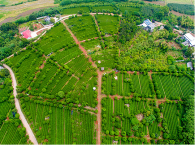 案例剖析！村集體如何構建新經濟+新模式（以浙江省為樣本）