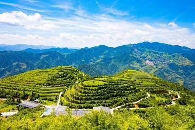 劉建生等：鄉村振興背景下農村三產融合：樣態類型、發展路徑及對策建議