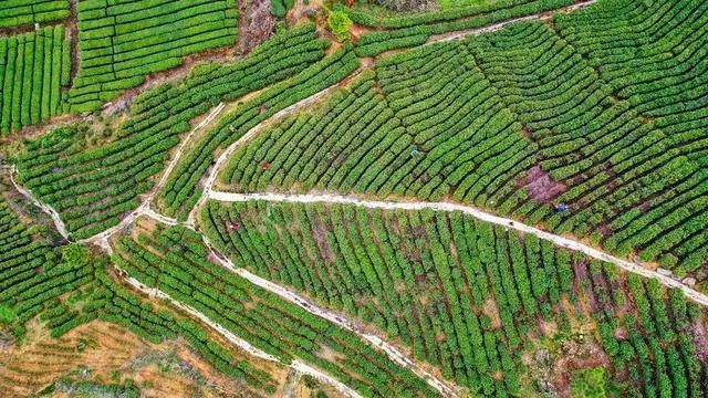 深度揭秘！“村BA”為何能“出圈”？這篇調(diào)研報告講明白了（全文）