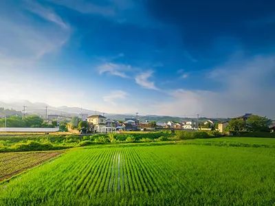 鄉村振興項目最全實施流程