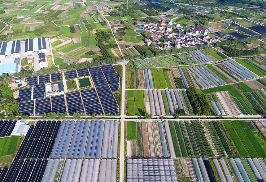 【三產(chǎn)融合】國家農(nóng)村產(chǎn)業(yè)融合發(fā)展示范園創(chuàng)建情況匯總