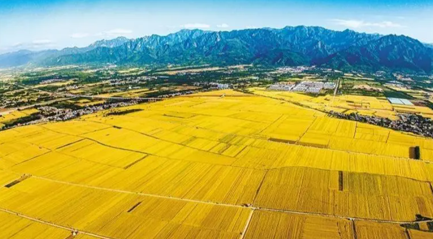 鄉村振興20字總方針、5個振興、3步走、7堅持