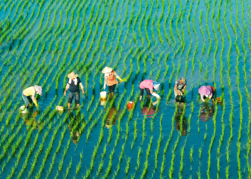 百千萬工程”背景下的鄉村振興綜合發展模式