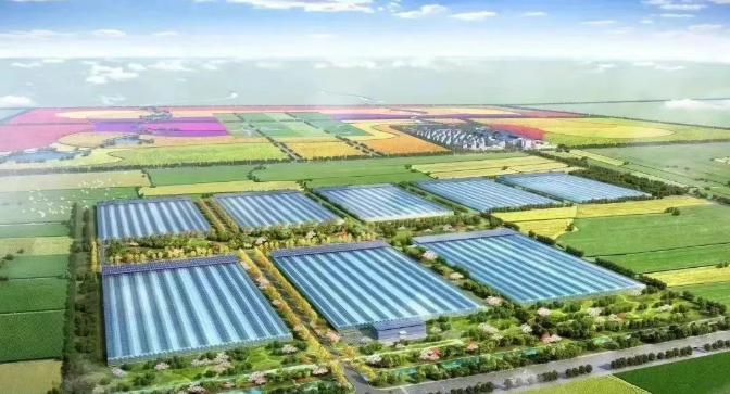 縣域經濟正當時！以農業產業園激活縣域經濟的五大路徑