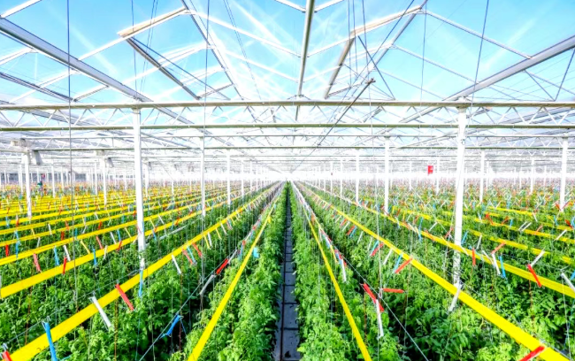 政策加持！中央預算內投資新政聚焦和美鄉村建設