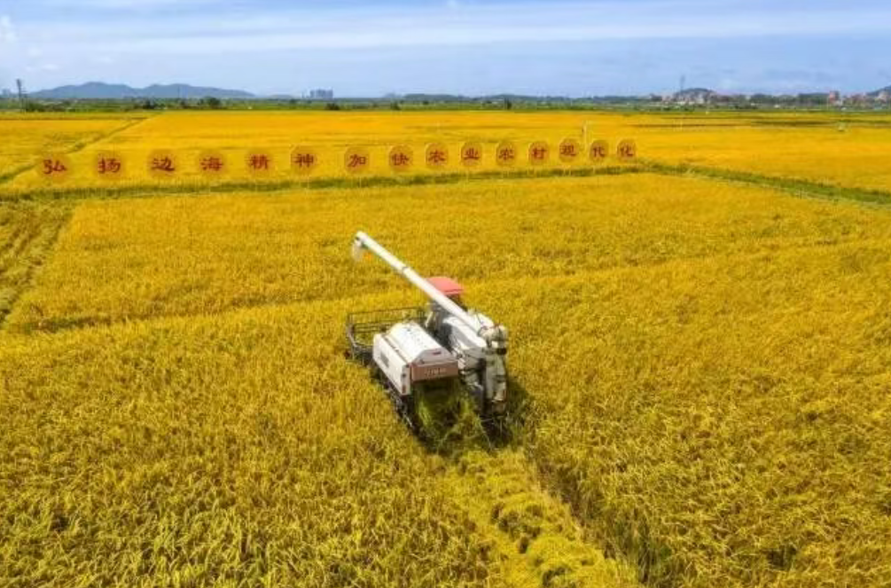 張紅宇：準(zhǔn)確把握中央部署，扎實(shí)推進(jìn)鄉(xiāng)村振興