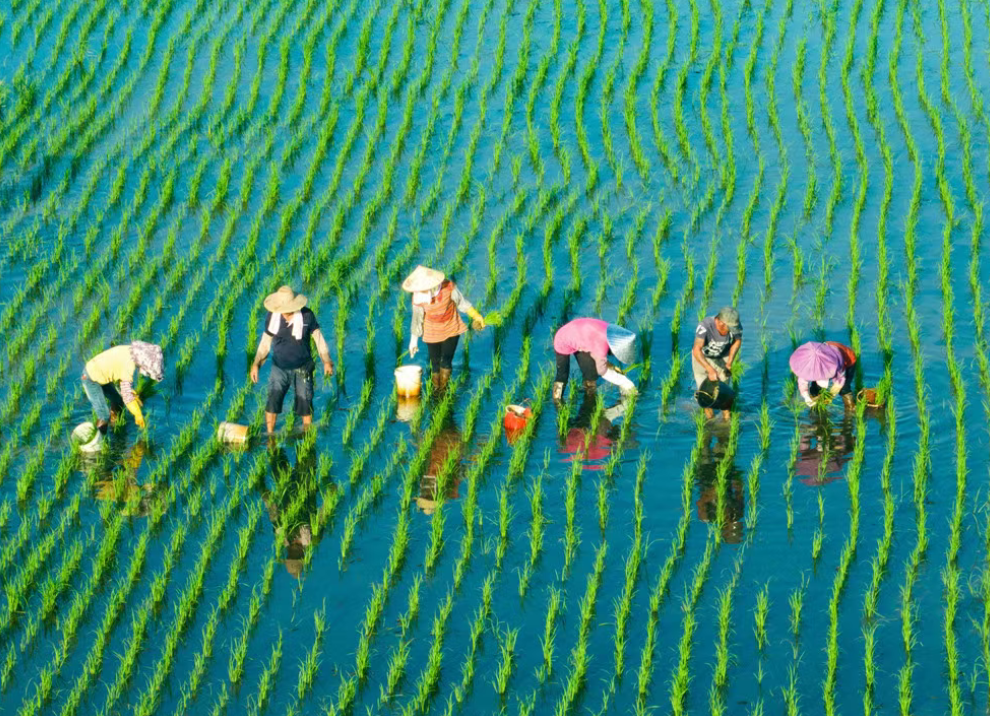 百千萬工程”背景下的鄉(xiāng)村振興綜合發(fā)展模式