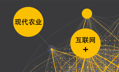 “互聯(lián)網(wǎng)+現(xiàn)代農(nóng)業(yè)”到底要加什么？