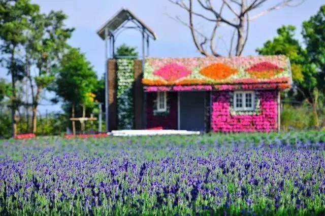 臺灣花露休閑農場的商業模式是什么