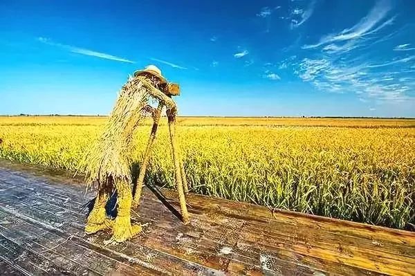 【模式研究】八大農業創新模式全面解讀