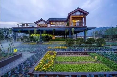 【大佬分享】李軍：把共享農莊打造成鄉村振興新亮點