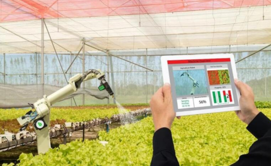 三農日報|政策：國家實施實施“數商興農”；農業企業想要成功的2大法則