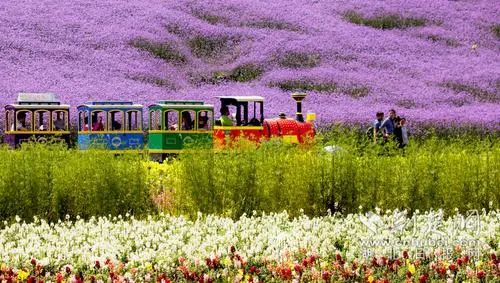 【休閑農業】休閑農業項目建設的要點禁忌