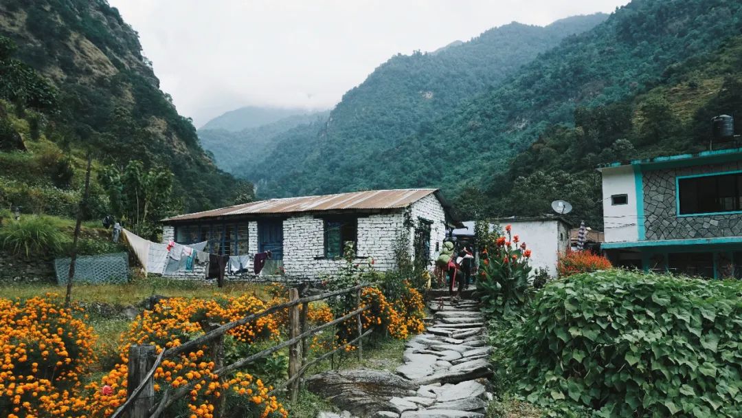 【農業模式】1+1＞2，農業與旅游的十種混搭