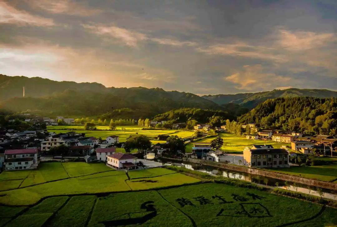 解讀：共享農業的土地和模式問題