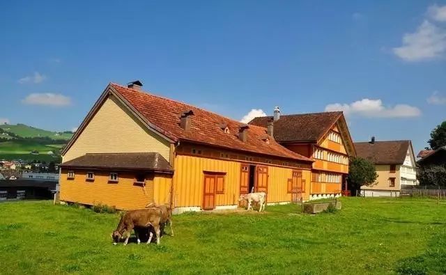 【農文旅】干貨分享！農業旅游的七大賣點