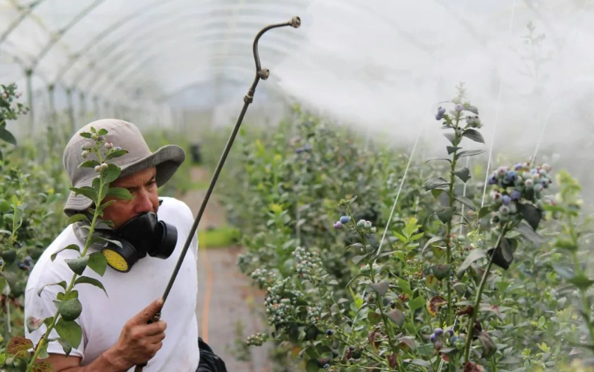 【農(nóng)藥行業(yè)】2025年中國農(nóng)藥產(chǎn)業(yè)現(xiàn)狀及趨勢分析