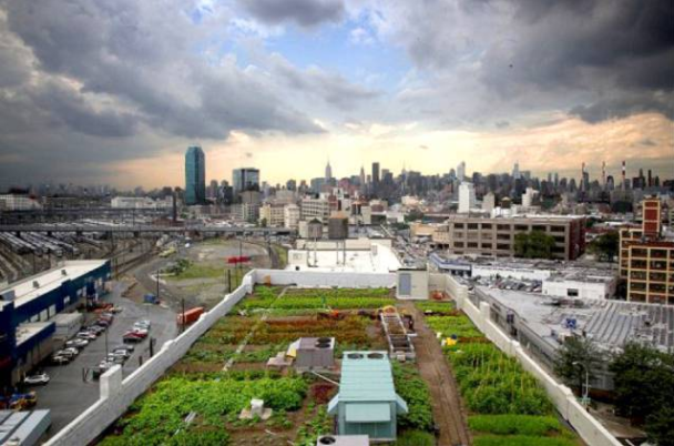 農(nóng)業(yè)新玩法之三：多功能屋頂農(nóng)場(chǎng)的打造大法!