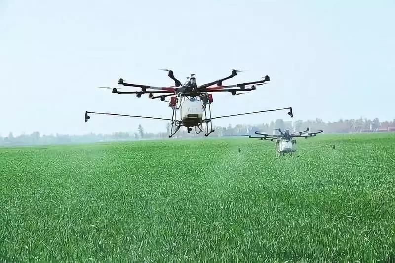 三農日報|國家支持返鄉人員發展鄉村產業項目；未來單個農場面積將達2000畝