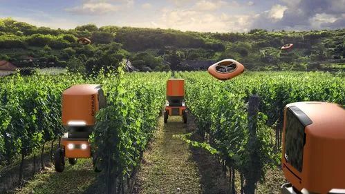 【政策解讀】關(guān)于做好數(shù)字農(nóng)業(yè)工廠和第二批未來農(nóng)場認(rèn)定申報的通知