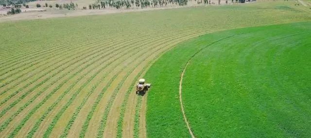 【世界農(nóng)業(yè)案例】美國大農(nóng)場模式憑什么產(chǎn)量大、效率高