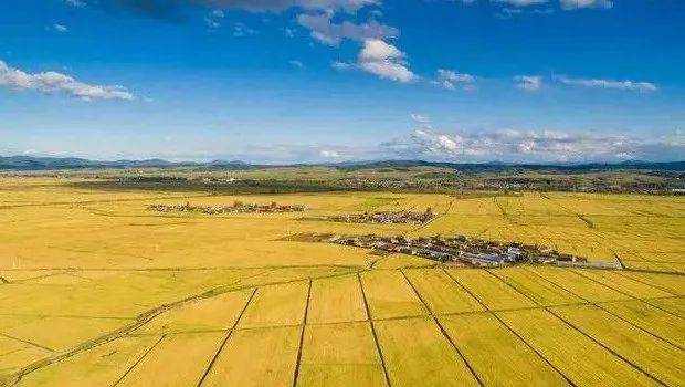 【世界農(nóng)業(yè)案例】世界領(lǐng)先的6大現(xiàn)代農(nóng)業(yè)模式！