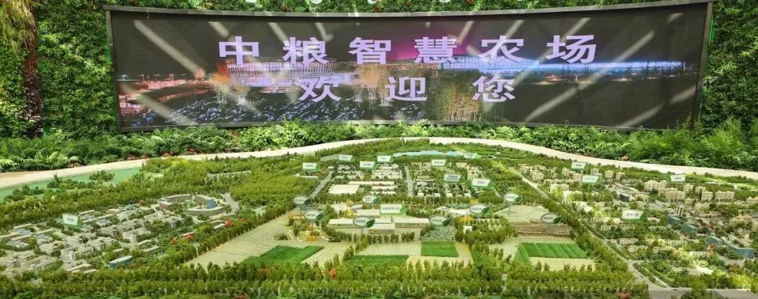 【商業(yè)案例】“中糧智慧農(nóng)場”世界級都市農(nóng)場，如何進行農(nóng)業(yè)+科技+休閑？