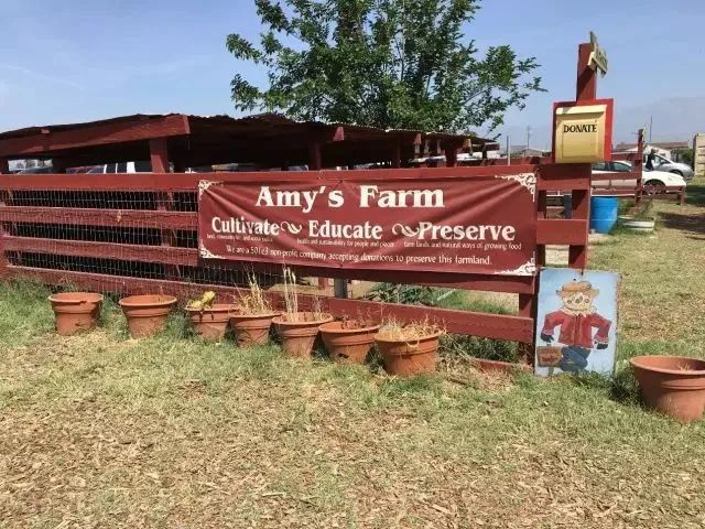 【世界農業案例】美國農場憑什么50畝能賺100多萬