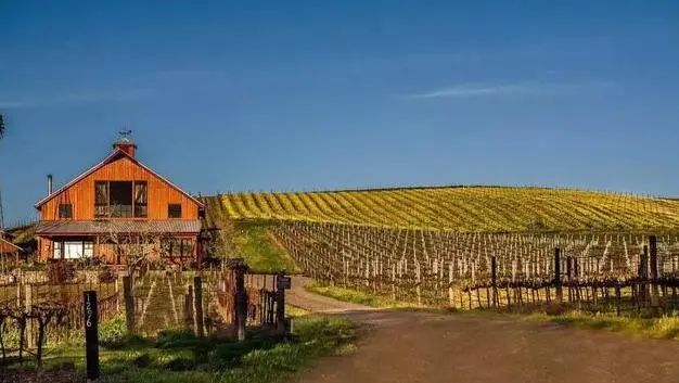 【世界農業案例】美國家庭農場創新與變革