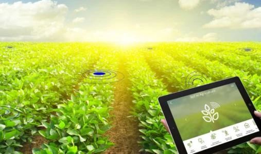 智慧農場解決傳統農業發展痛點的路徑研究