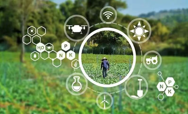 【數字農業案例】數字農場如何重塑產銷生態？產銷直通！