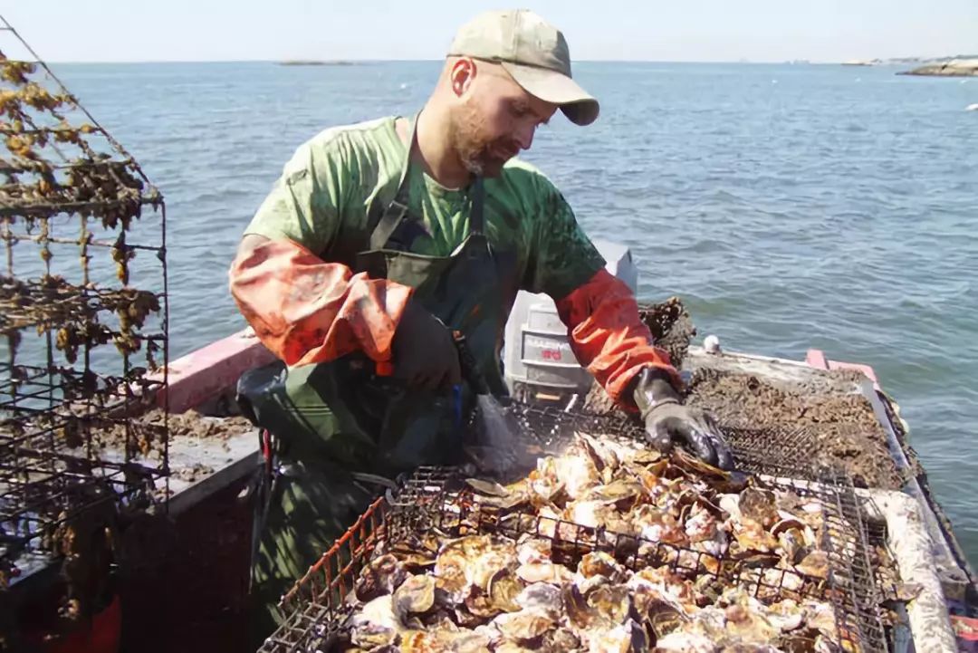 世界5大智慧農場建設：技術+商業綜合體